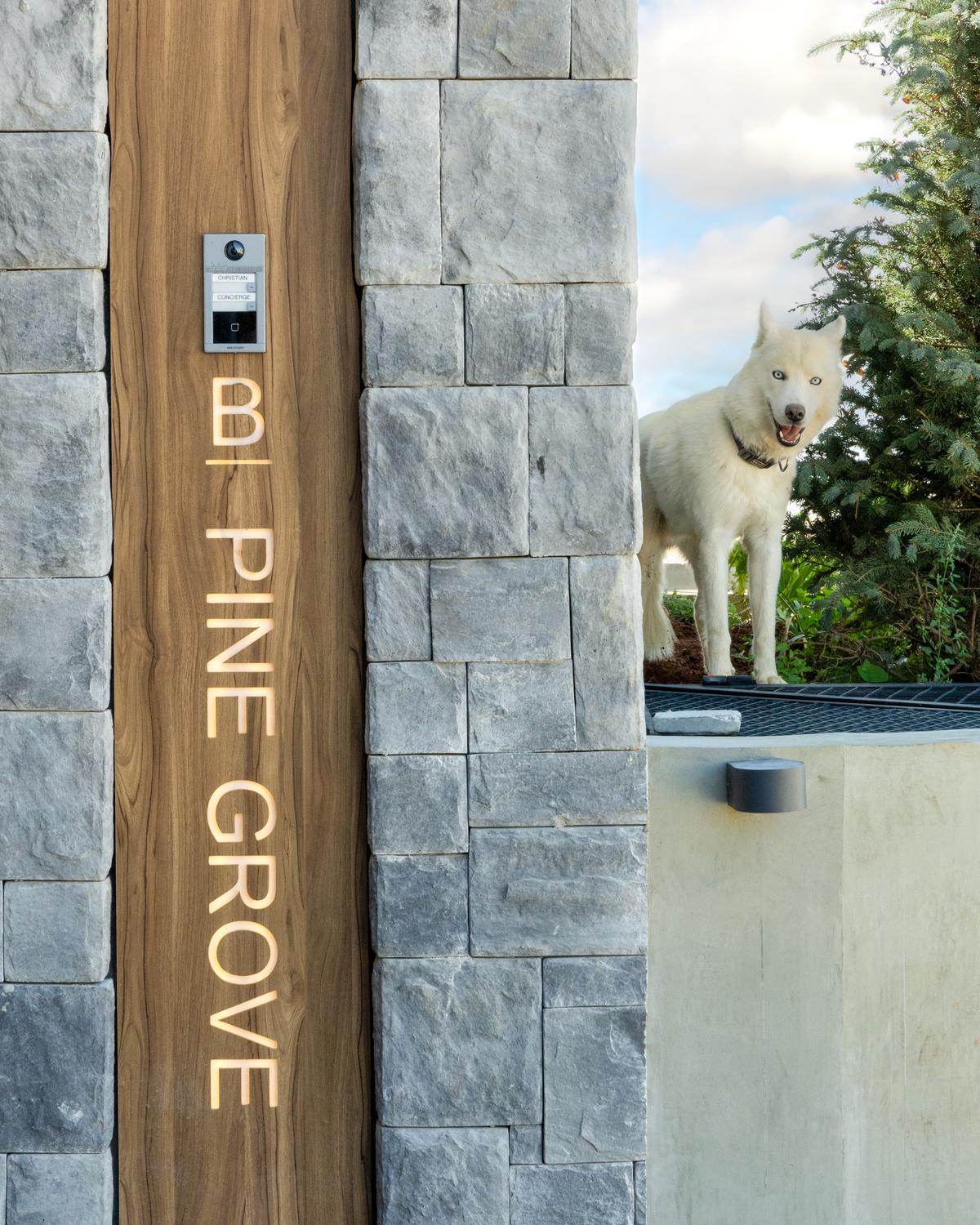 Project Detail Images