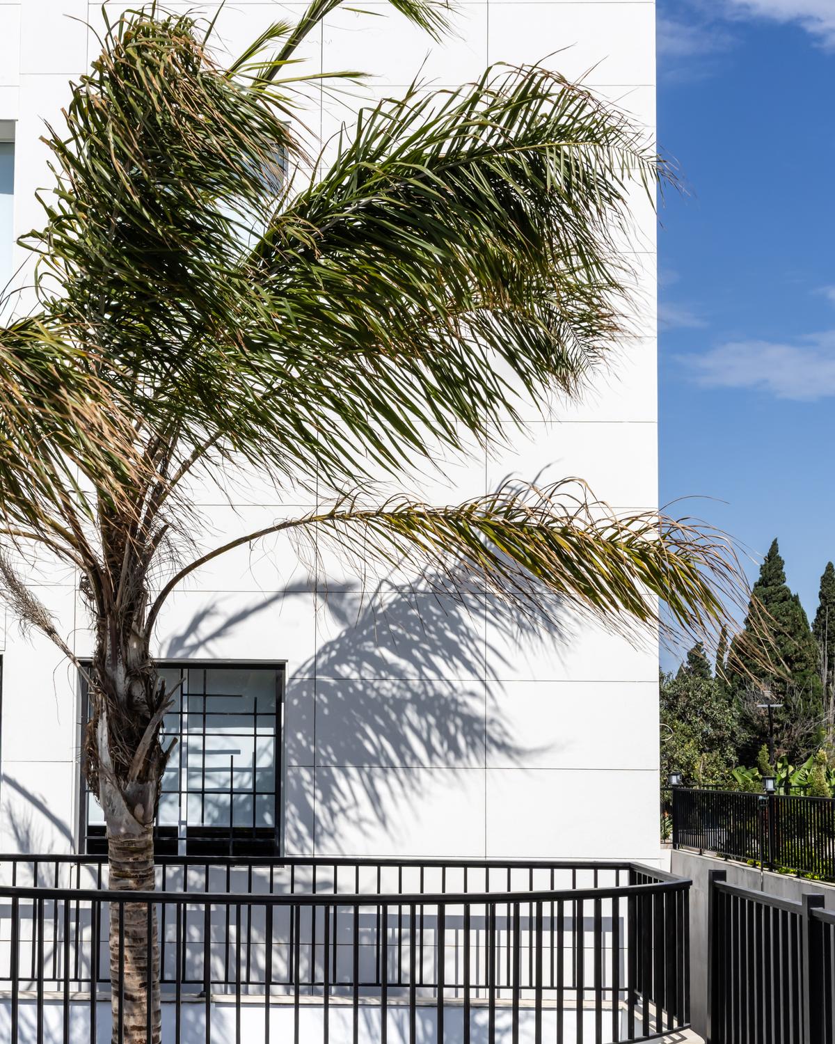 Project Detail Images