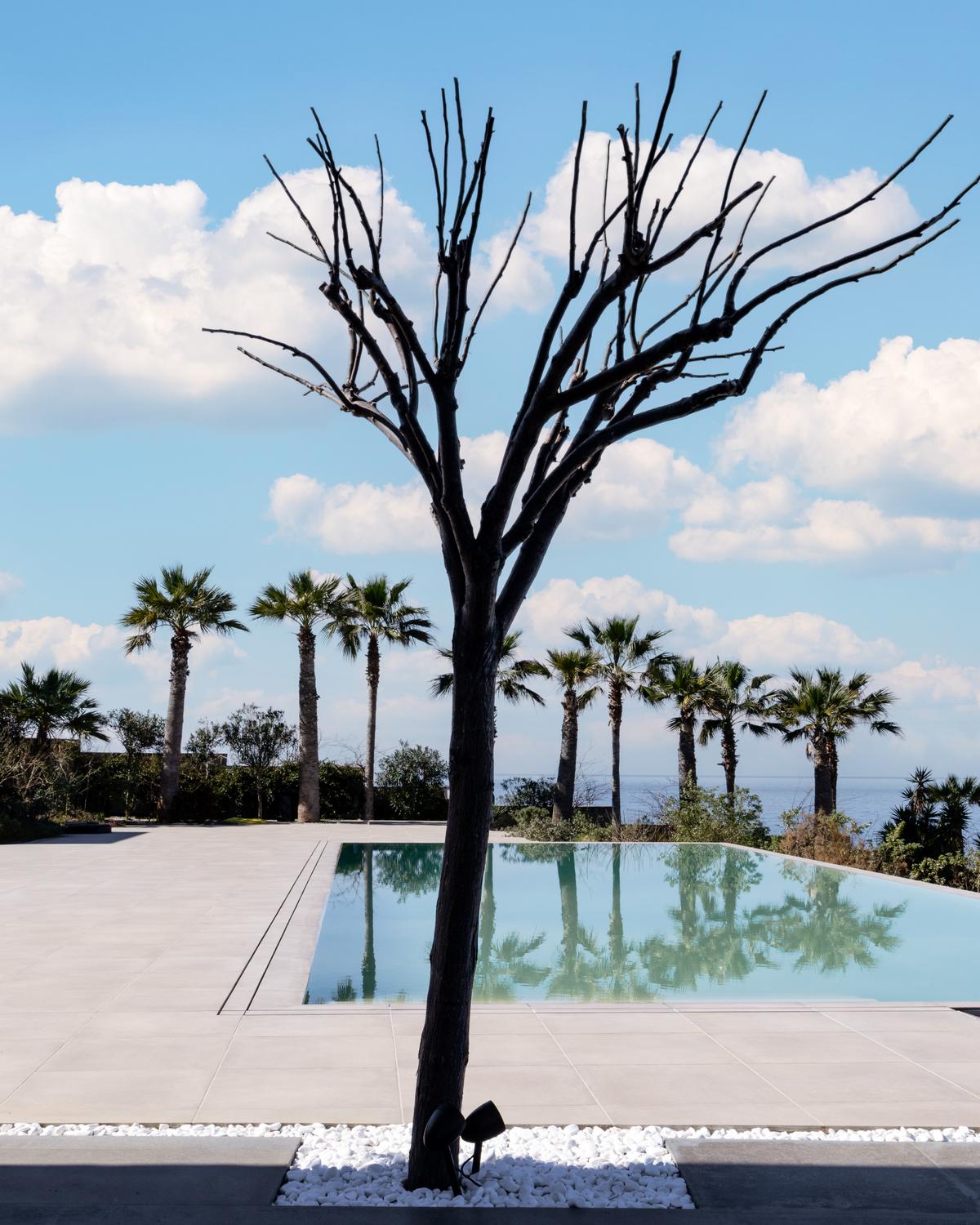 Project Detail Images