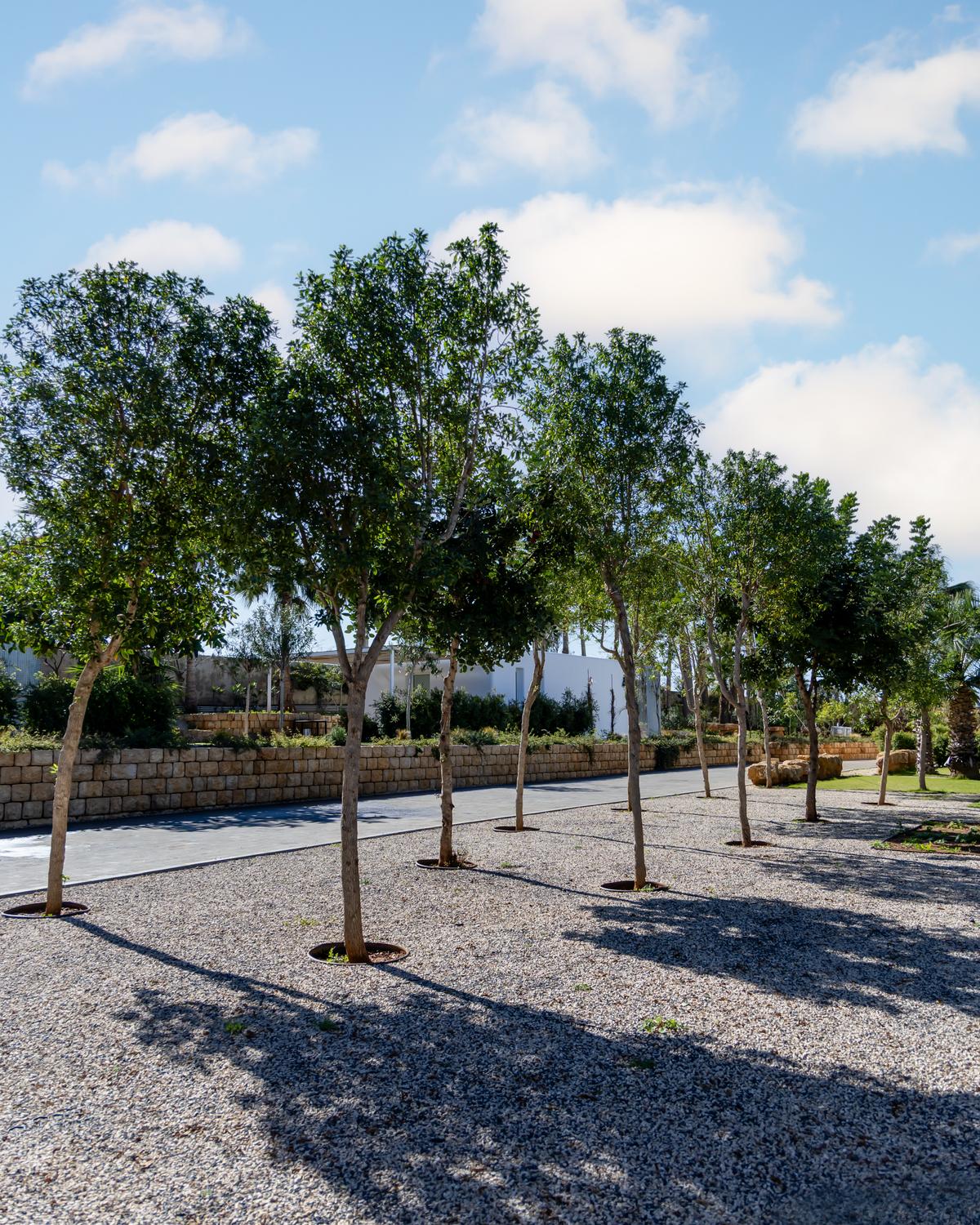 Project Detail Images